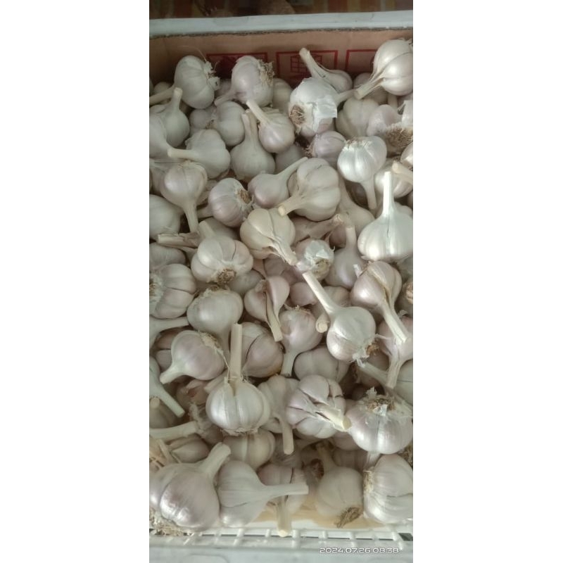 

bawang kating 1 kg + bawang merah 100 gram