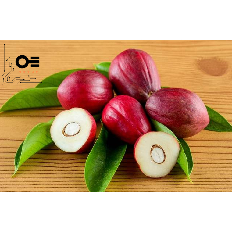 

Buah Mahkota Dewa Untuk Diabetes Asam Urat Daya Tahan Tubuh Banyak Fungsi Dan Langka