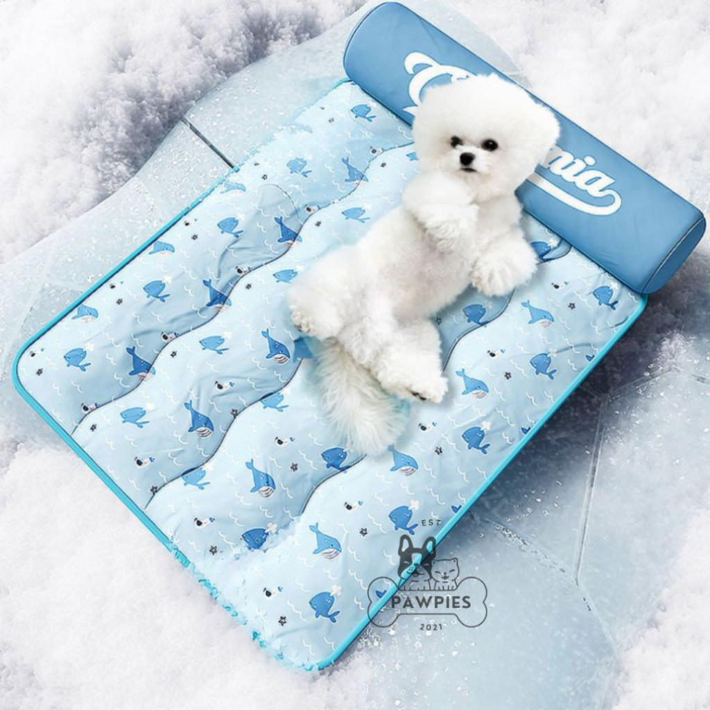 Tempat Tidur Matras Kasur Alas Bantal Dingin Sejuk California Roll Bed Anjing Kucing Dog Cat Pet Bed