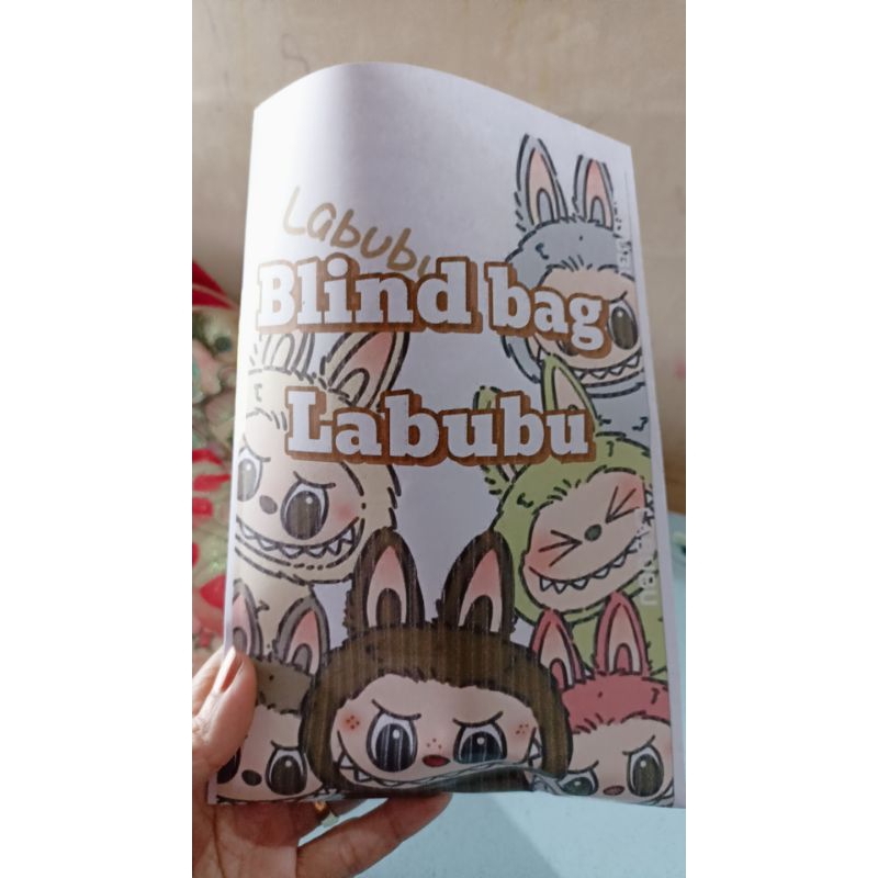 blind bag paper squishy labubu