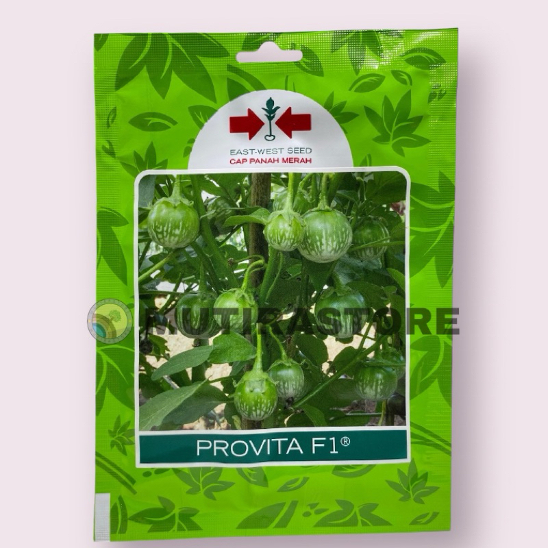 bibit terong hijau bulat provita fi isi 400 biji cap panah merah