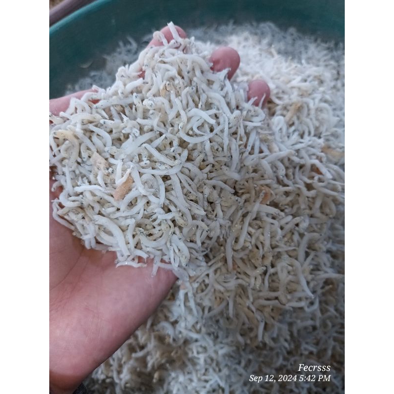 

Teri Medan/Teri Nasi