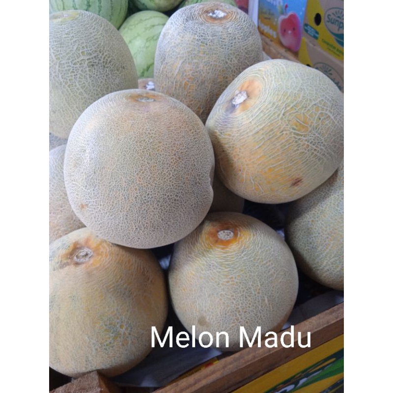 

Melon / Kg