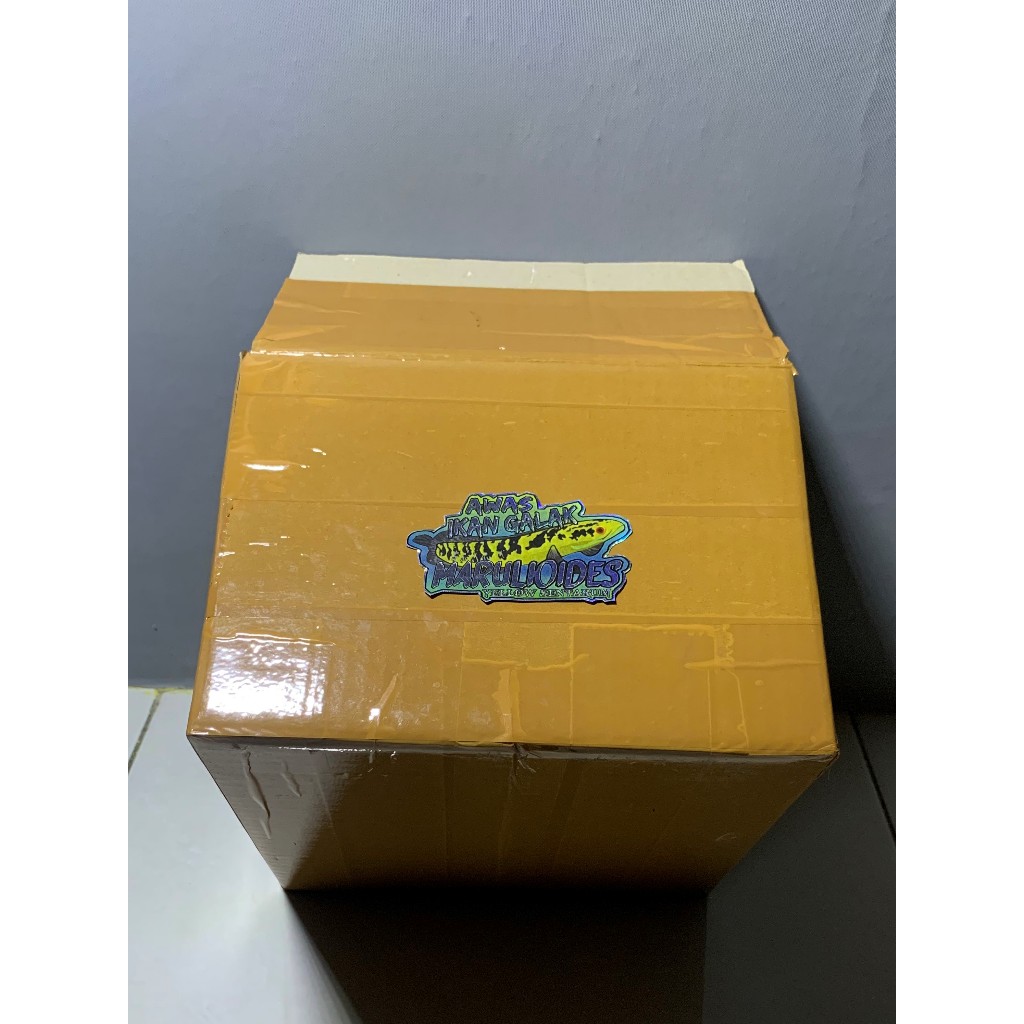 

Kardus Packing Extra Maru YS