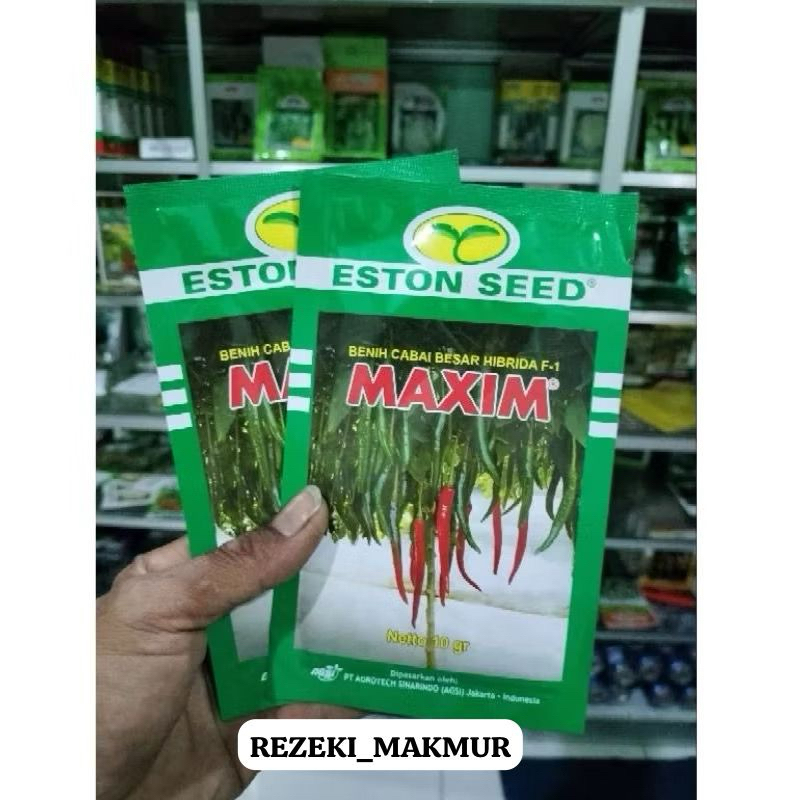 Benih Cabe Besar F1 Maxim (F1 Profit 32) 10 gram