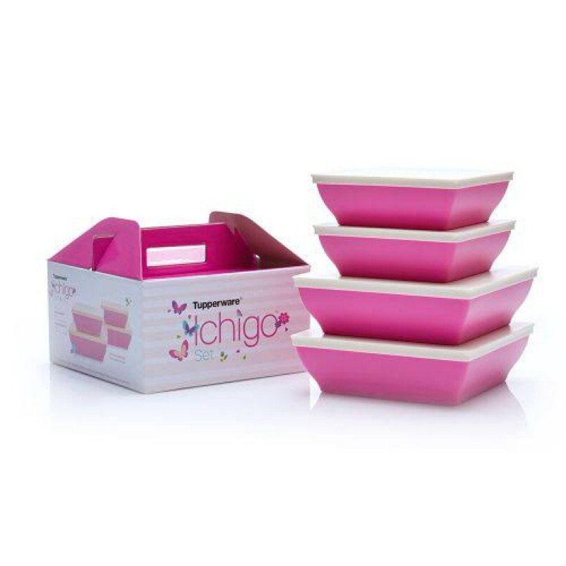 ichigo tupperware / kotak makan tupperware