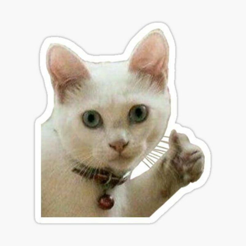 sticker aesthetic/sticker tumblr/sticker premium/sticker hp/sticker laptop/sticker helm/ sticker mot
