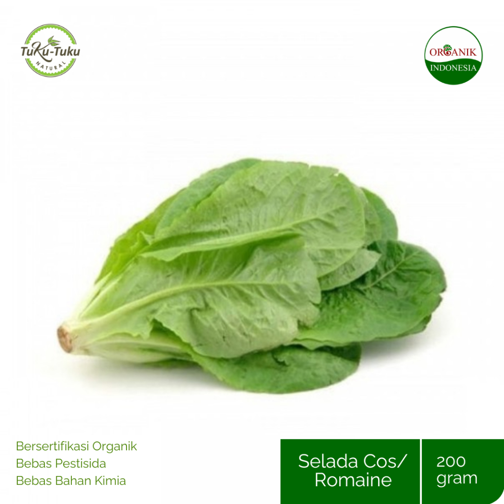 

SELADA COS ROMAINE ORGANIK BSP FARM 200GR