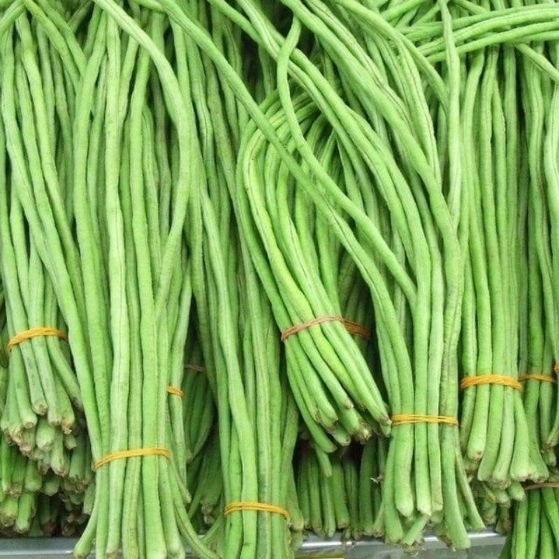 

KACANG PANJANG 1KG