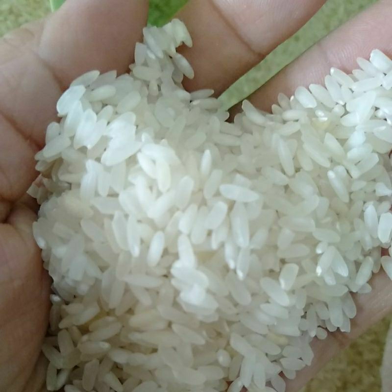 

Beras Minang raya / beras Padang ( 1000 gr )