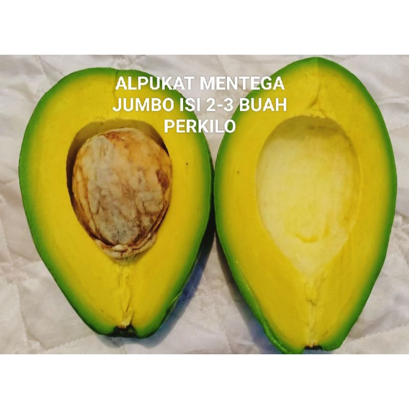 

ALPUKAT MENTEGA JUMBO PREMIUM bandar lampung ISI 2-3 perkilo