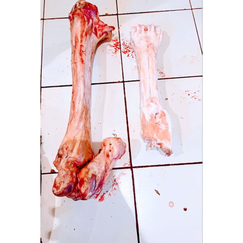 

tulang sum² sapi (1kg).