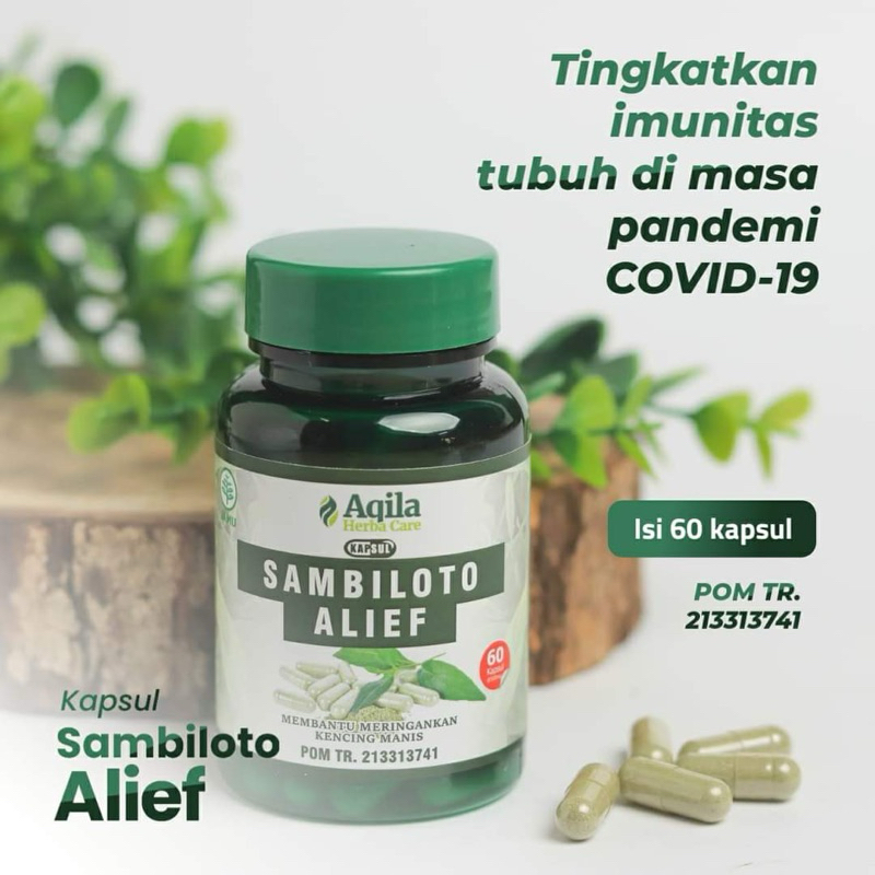 SAMBILOTO KAPSUL Sambiloto Isi 60 Kapsul Asli Original