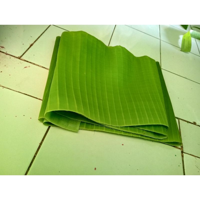 

Daun pisang batu fresh dari pohonnya (kualitas terbaik) berat produk 1kg