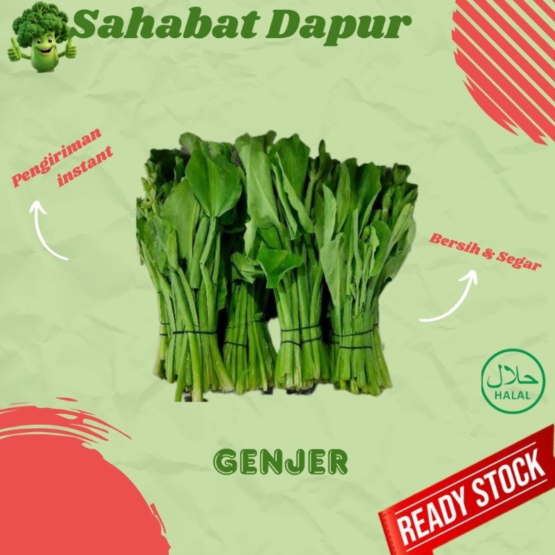 

Sayur Genjer fresh - sayuran segar - Sahabat dapur Delivery