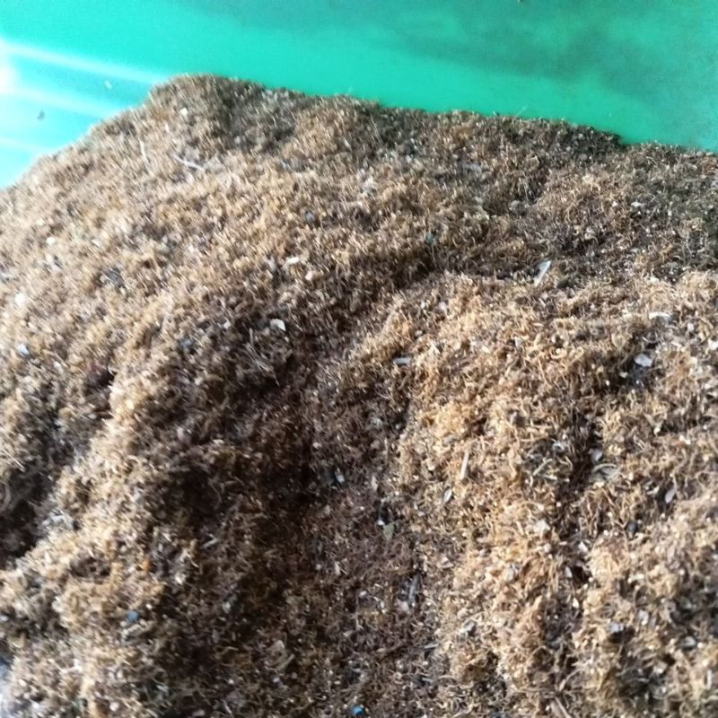 

sungut cengkeh benang sari cengkeh 1kg kering