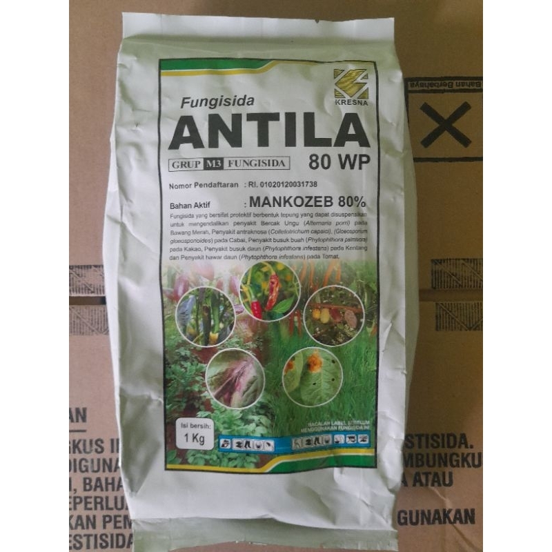 ANTILA 80 WP 1 KG