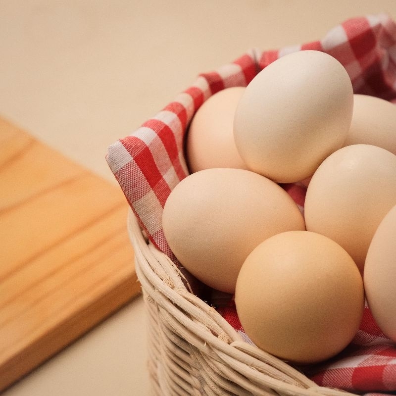 

TELUR AYAM KAMPUNG // THE KAMPOENGAN EGG