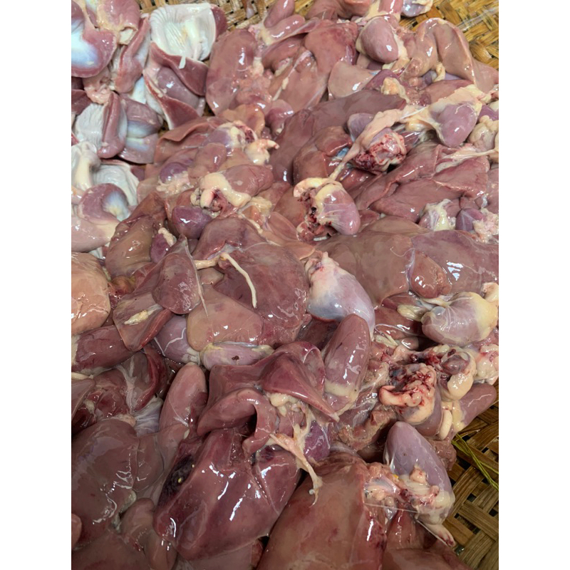 

HATI AMPELA AYAM 1KG SEGAR LANGSUNG KIRIM
