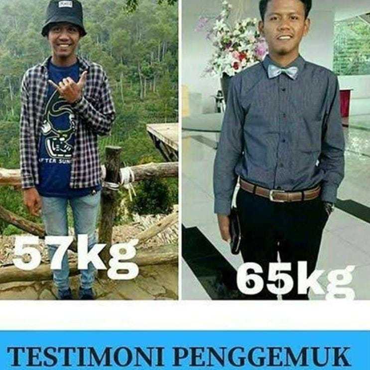 

susu penggemuk badan / penggemuk badan / susu penggemuk / penggemuk badan dewasa