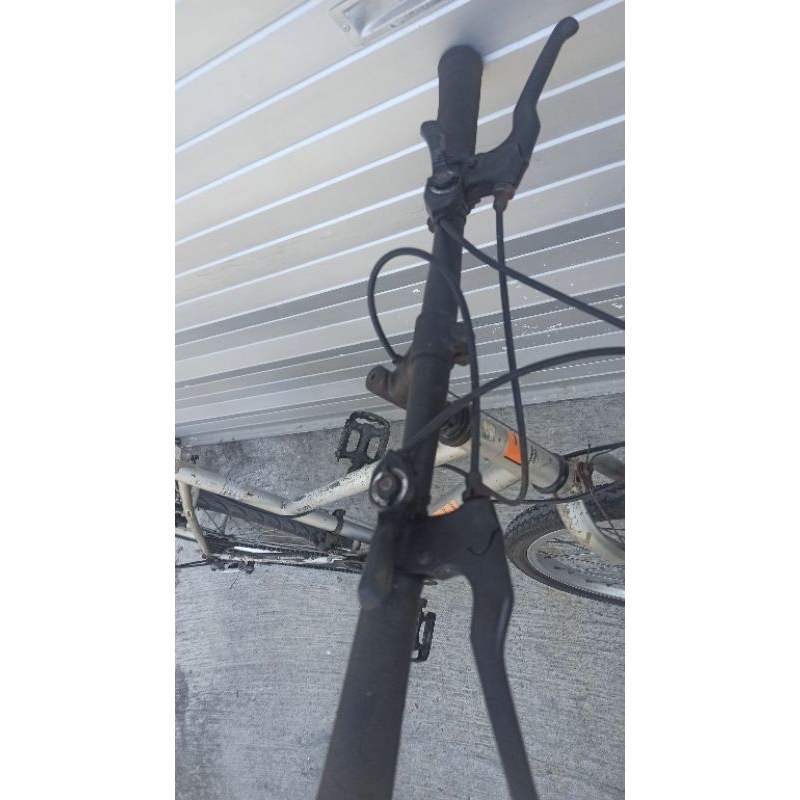 sepeda federal lady 26