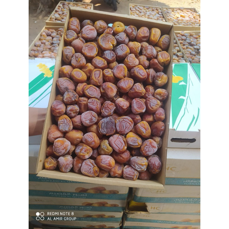 

Kurma Sukari
