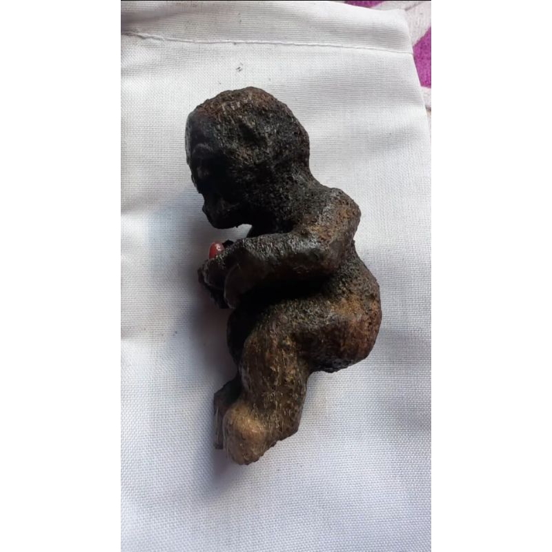 TEMUAN BATU BAYI BAJANG TUYUL