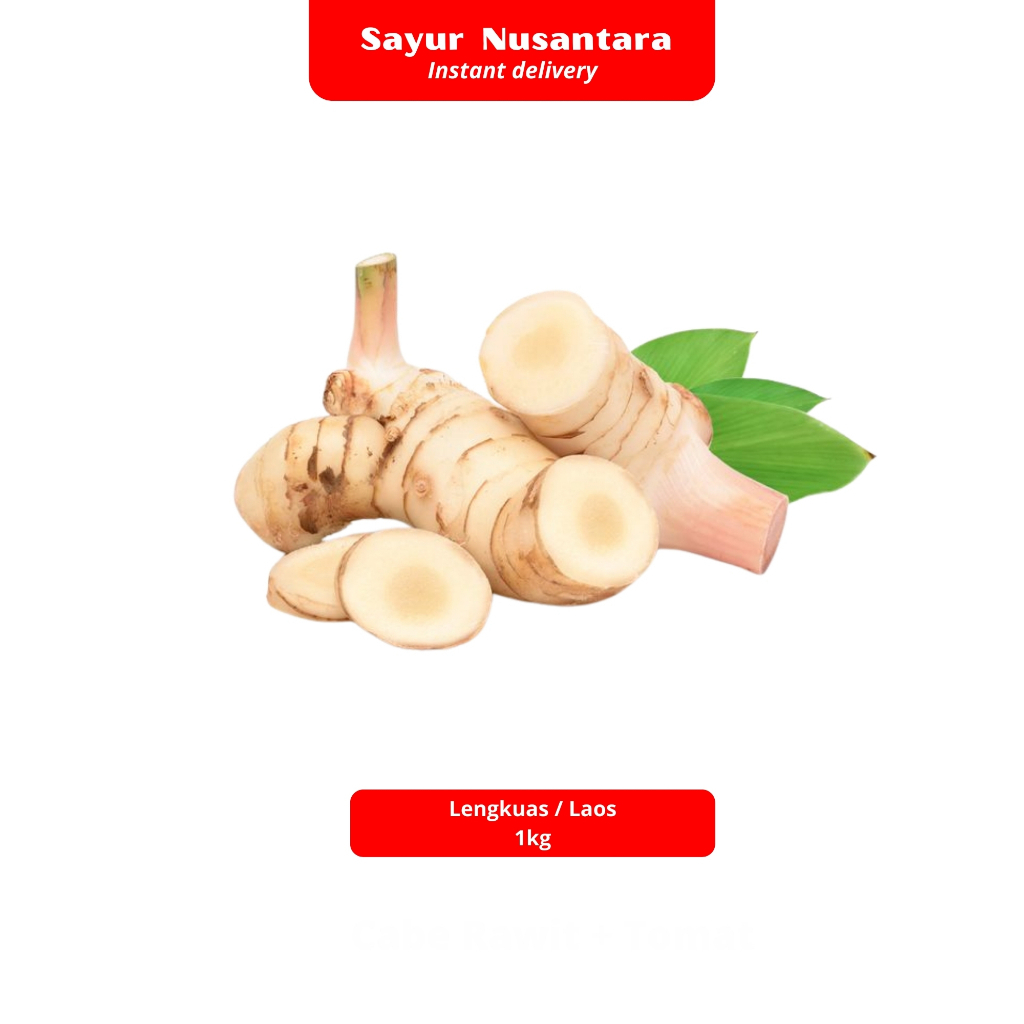 

Lengkuas / Laos 1kg - Sayur Nusantara