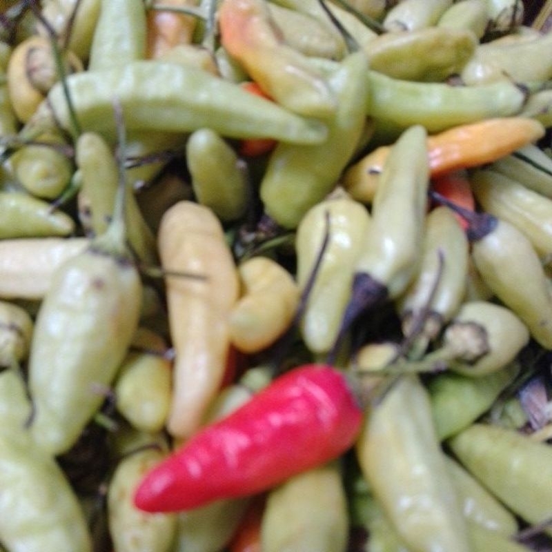 

promo cabai rawit 1KG