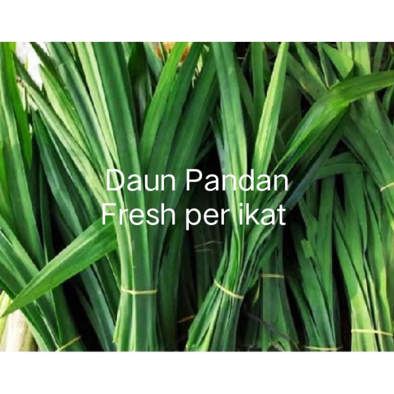 

Daun Pandan Fresh per ikat