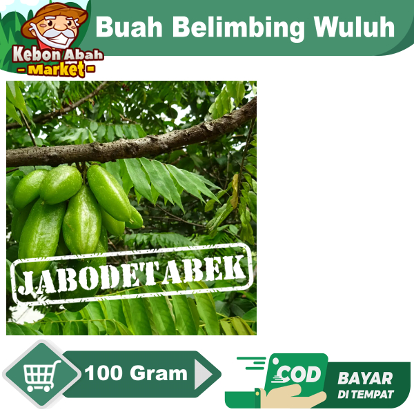 

Belimbing Wuluh Segar 100 gr Petik Dadakan Saat ada Pesanan fresh