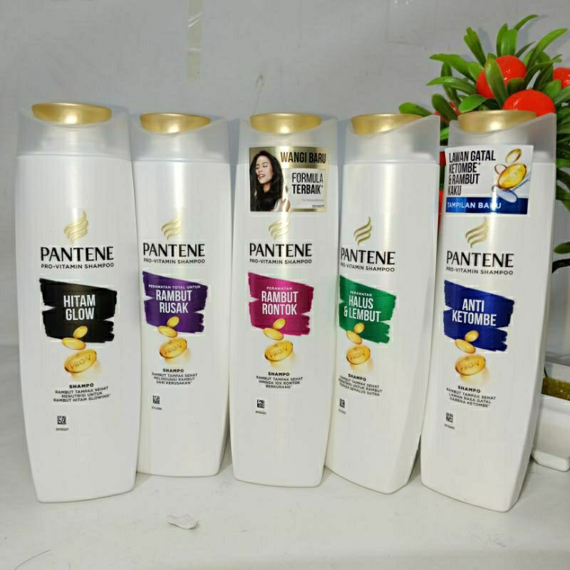 Pantene Shampo Botol 160 ml