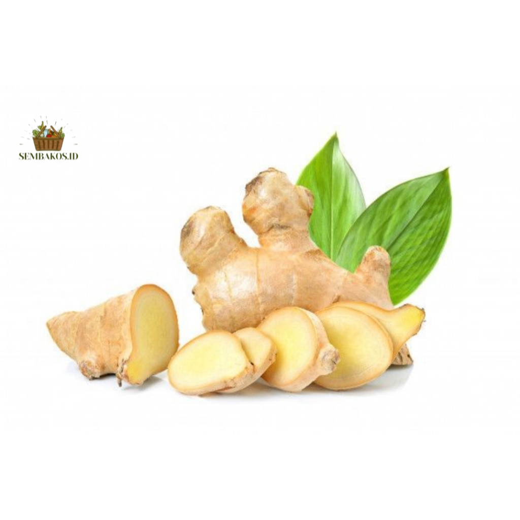 

KENCUR / BUMBU DAPUR / KENCUR SEGAR