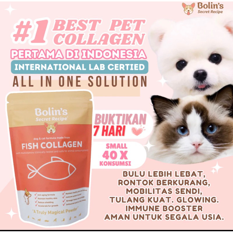 vitamin bulu anjing