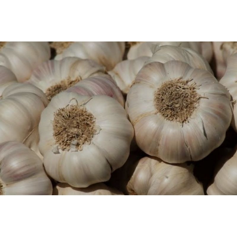 

Bawang Putih 250 gram