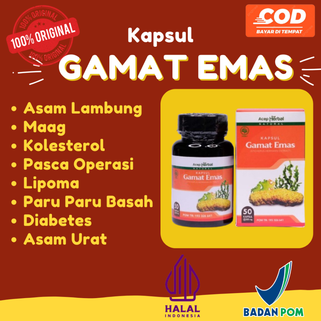 Kapsul Gamat Emas Ekstrak Teripang Emas Maag Asam Lambung Infeksi Lambung Diabetes Kolesterol