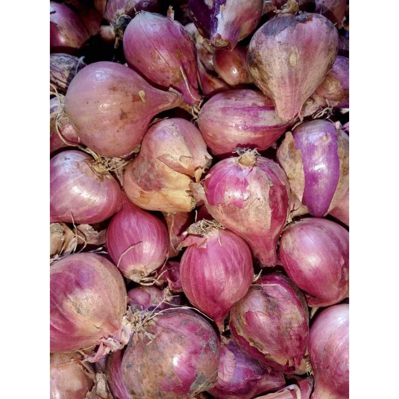 

BAWANG MERAH 1 Kg Kering (besar)