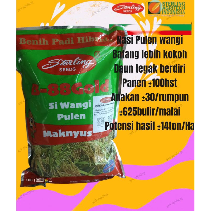 B88 1kg ex 28 November 2025 benih padi hibrida sterling