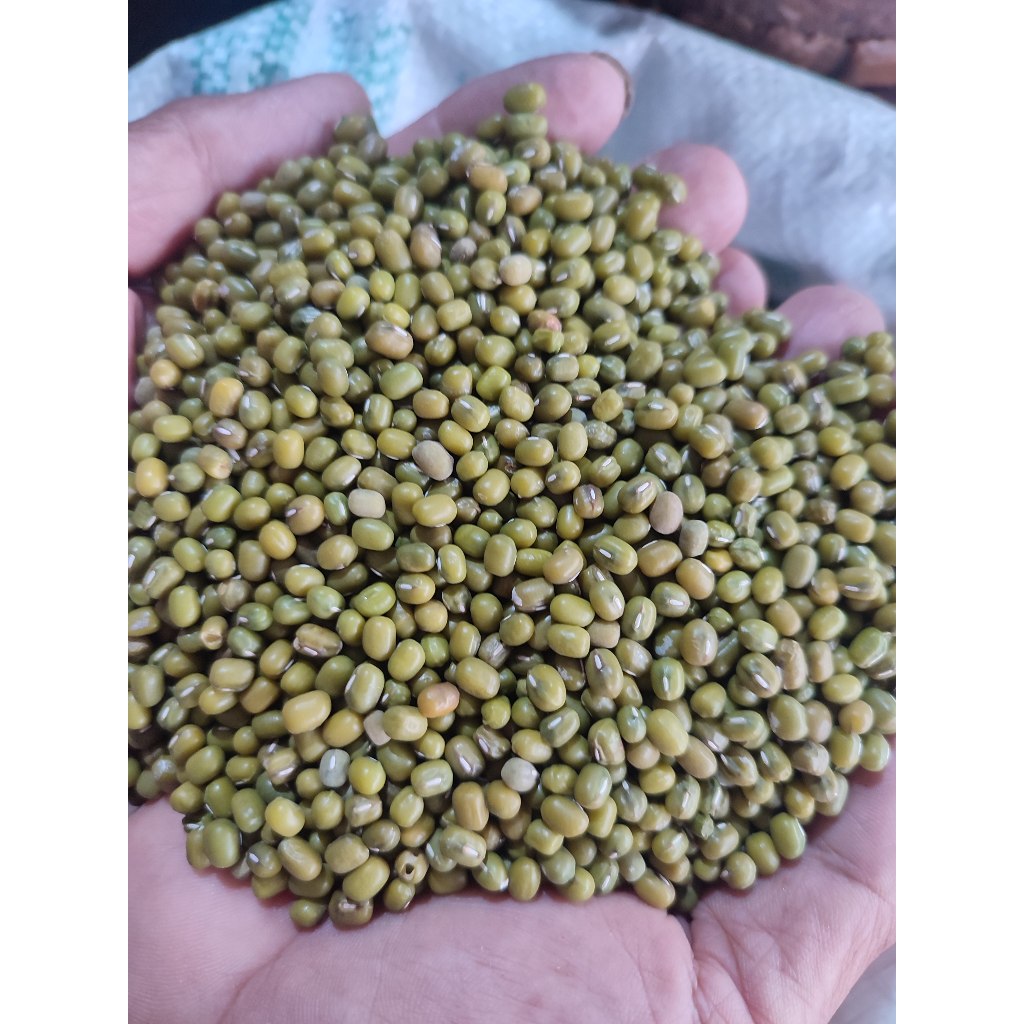 

Kacang Hijau / Kacang Padi Grade Super - Per Kg