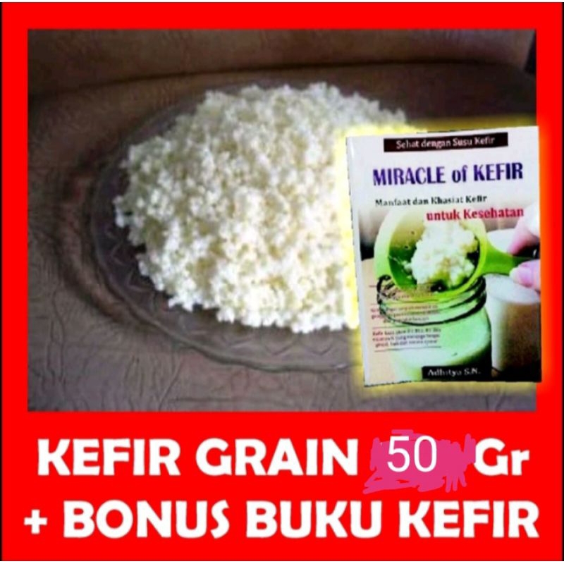 

Bibit Kefir Grain Asli 50 Gram - Plus Bonus Buku Miracle of Kefir2