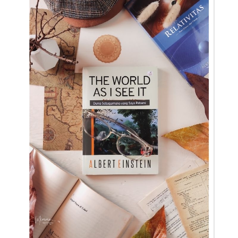 

The World as I See It