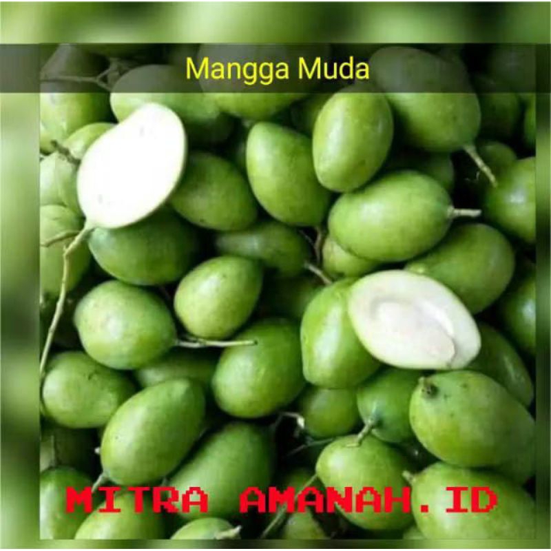 

Mangga Random 1Kg Campur