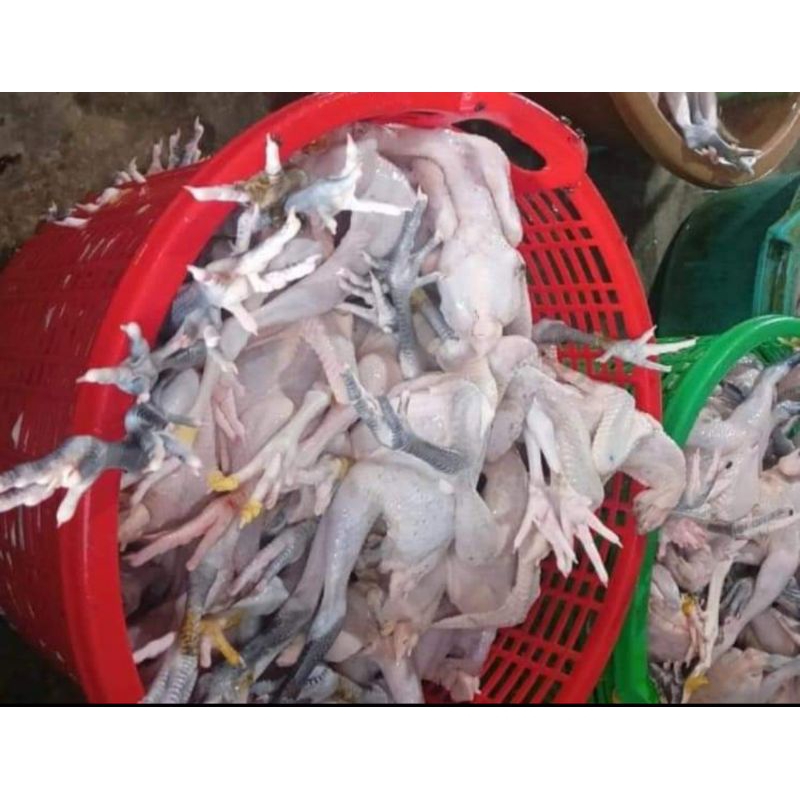 

Ayam kampung potong fresh berat hidup 1 kg