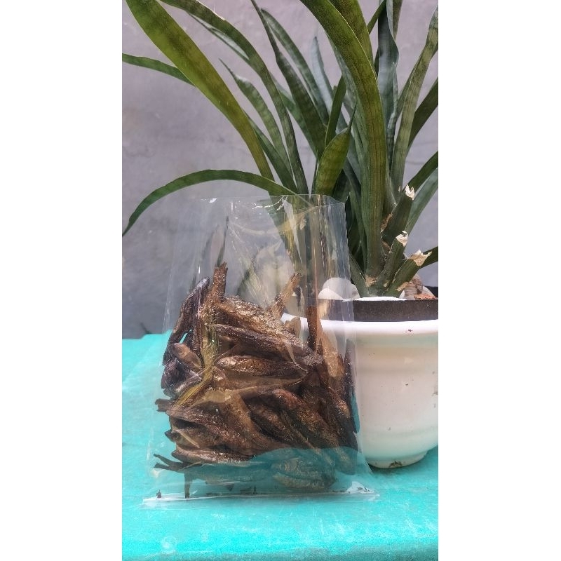 

Bada Salai/Ikan Asap (Asli) Danau Maninjau Paket Hemat