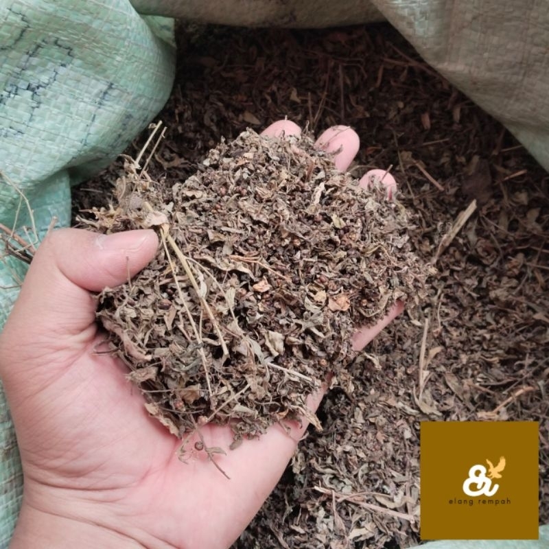 

MENIRAN HERBAL MENIRAN KERING 100 GRAM