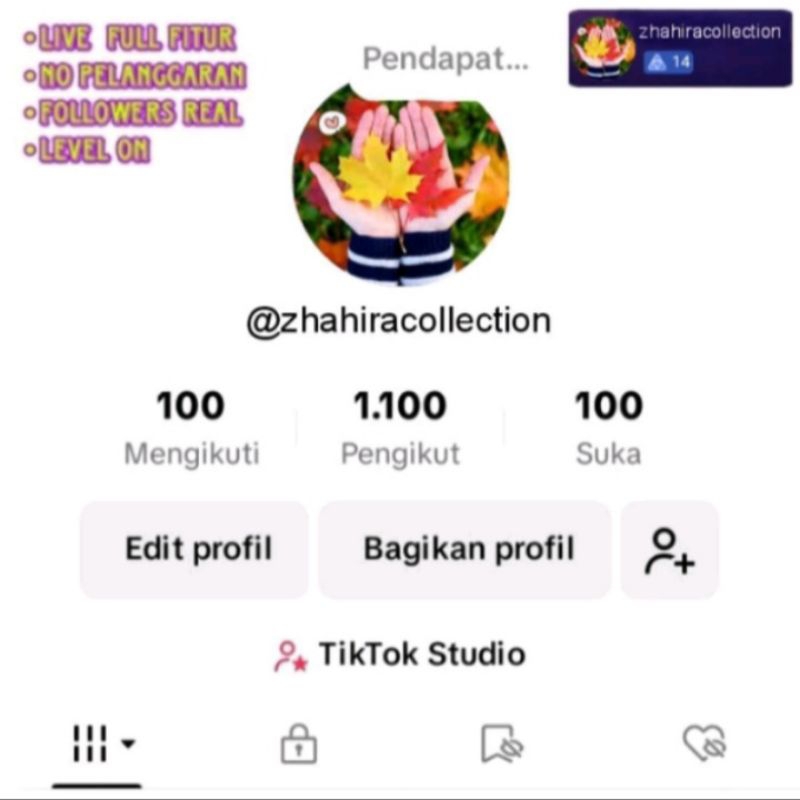 AKUN TIKTOK LEVEL 10-14 (1000 FOLLOWERS)