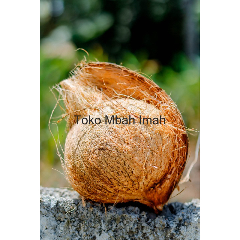 

kelapa kupas