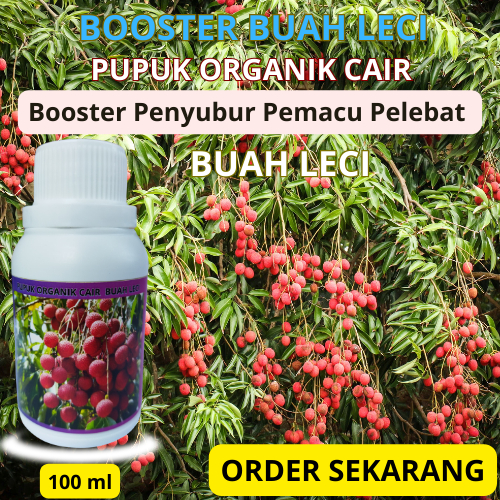 Pupuk Leci | Pupuk Booster Pemacu Penyubur Pelebat Buah Leci | Pupuk Organik Cair Khusus Buah Leci