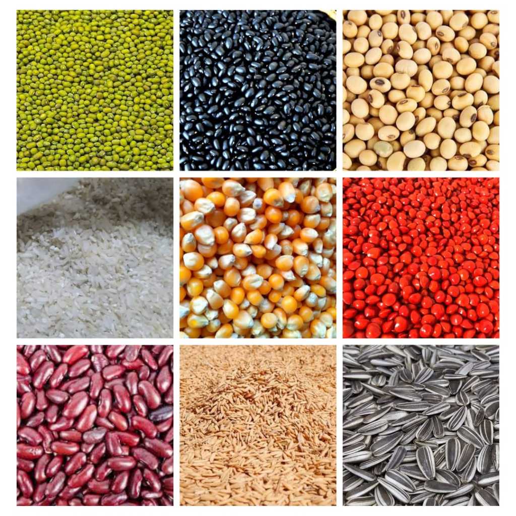 Kolase Biji - Bijian Untuk Kerajinan Tangan ( Harga Satuan )
