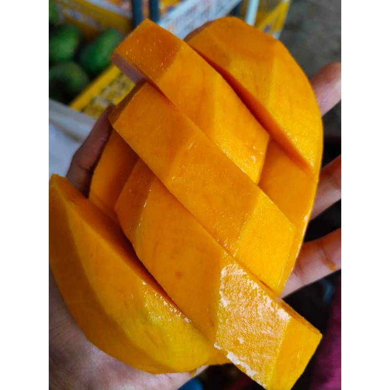 

Mangga Gadung Manis Harga Promosi